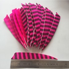 50PCS 5inch Striped Pink Shield Vanes Fletches Feathers Fletching RW LW