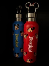 Mickey  Minnie Mouse Stainless Steel Water Bottle Set