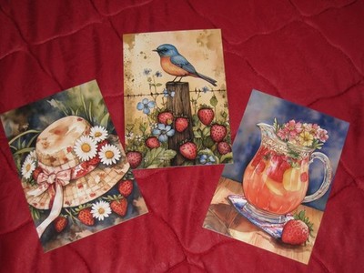Postkarten 3er Set * Erdbeersommer * 10 x 14 cm* Scrapbooking- oder Junk-Journal