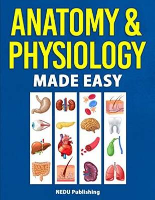 Anatomy  Physiology Made Easy: An Illustrated Study Guide for Students T - GOOD