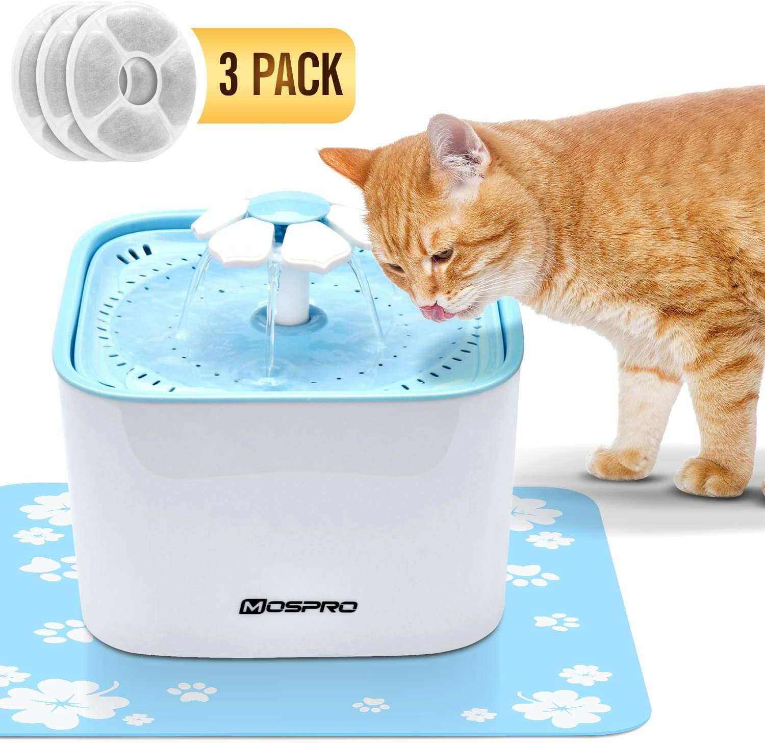 water drinking fountain for cats