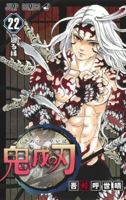 鬼滅の刃 22 Demon Slayer: Kimetsu no Yaiba vol.22 Shueisha Koyoharu Gotoge