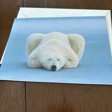 Merry Christmas Polar Bear Blue Background Season Holiday Greeting Card