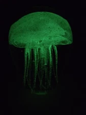 Studio Art Glass Hand Blown Glow in the Dark Jellyfish Paperweight 4.5"