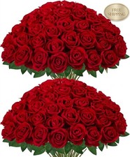 Red Roses Artificial Flowers 50 Pcs Fake Velvet Silk Rose Floral  Bulk, Indoor