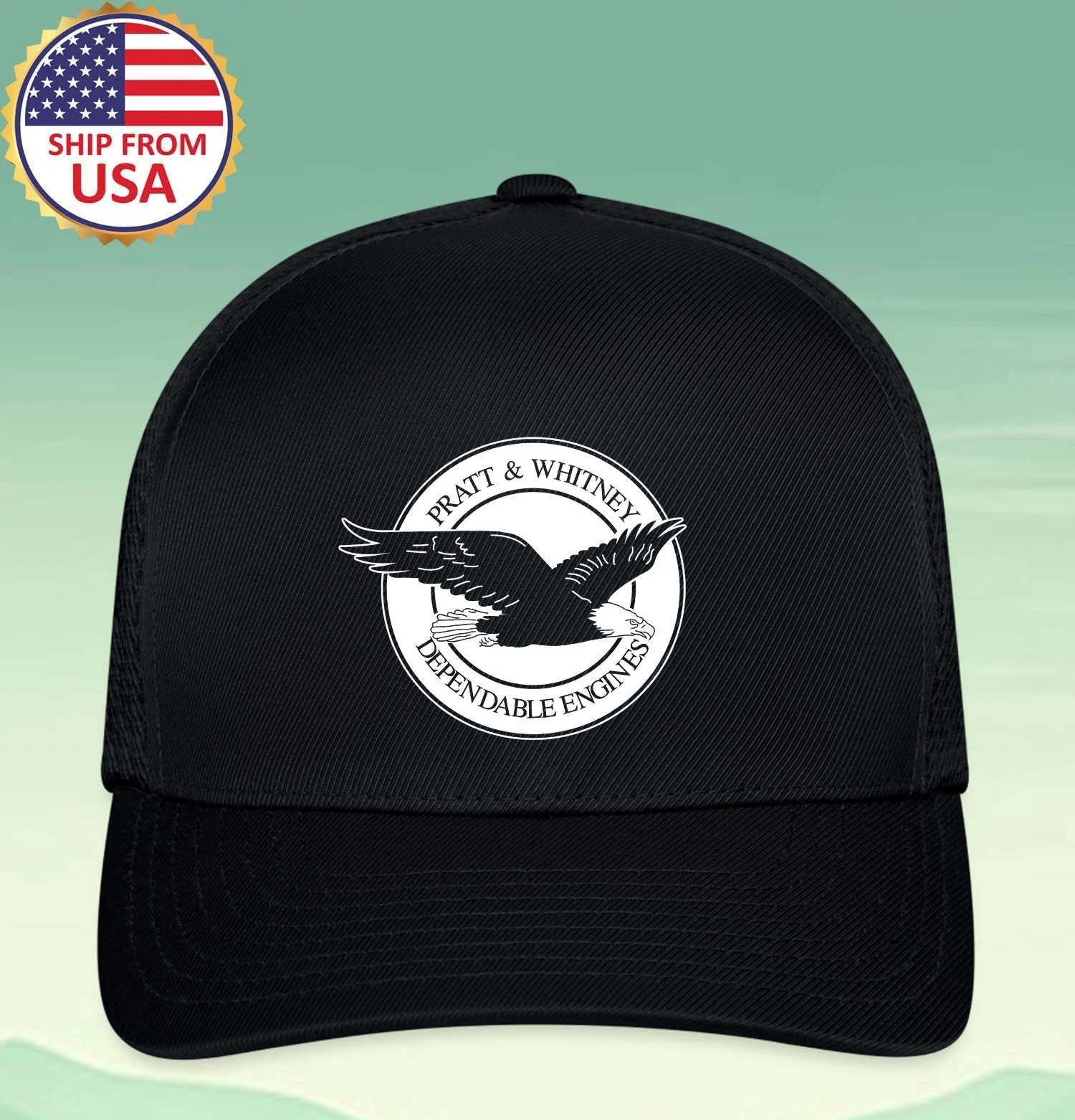 Pratt & Whitney Hat Baseball Cap Size S/M & L/XL
