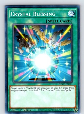 Crystal Blessing Common 1st Edition SDCB-EN021 NM