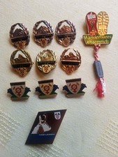 11 x Hüttschlag Wanderabzeichen TN GN Wanderbares Österreich, Anstecker