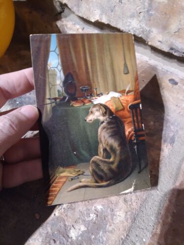 Dog Post Card Dog in Cozy Room Ephemera Dark Cottagecore - Picture 3 of 7