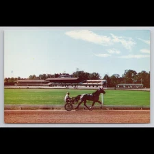 Vintage Saratoga Springs New York Postcard Unposted Horse Racing Scenic View