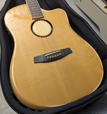 LR Baggs AEG-1 TOR Torrified Acoustic/Elec. w/bag, shirt, setup, pedal, & ship