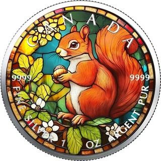 2025 Canada Farbiger Round Stained Glass Squirrel 1 OZ SILBER COLOR EDITION