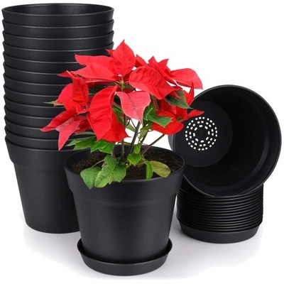 Country Style Planters, 15 Pack 6 Inch Pots