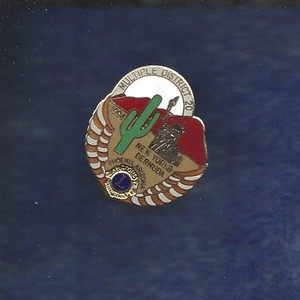 Lions Club Pin NEW YORK 1994
