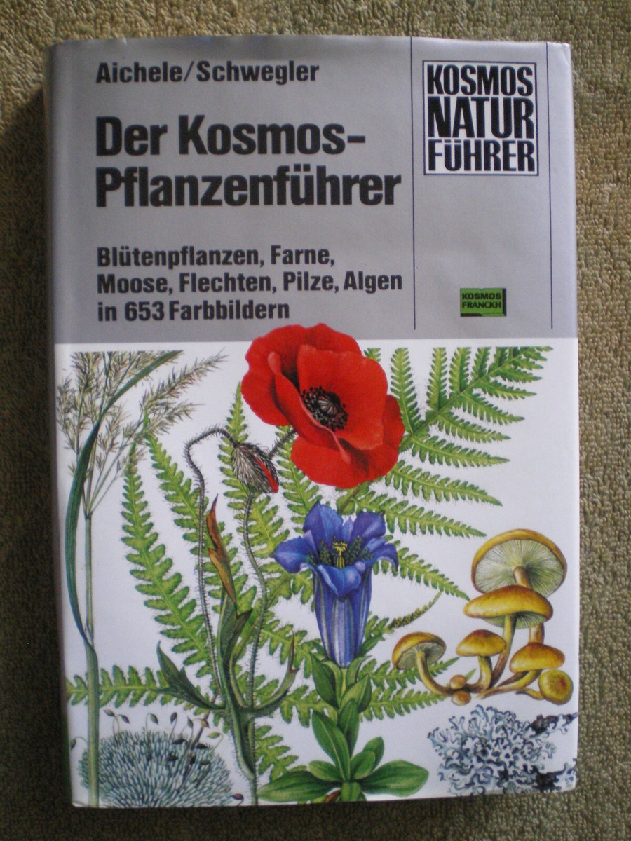 Pflanzenfhrer - Bltenpflanzen Farne Moose Flechten Pilze Algen  Bestimmungsbuch | eBay