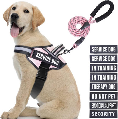 Service Dog Vest Harness and Leash Set,  in Training Dog Harness with 10 Dog Pat