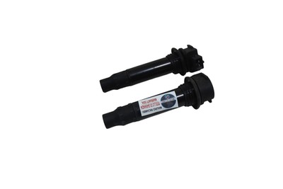 ZÜNDSPULEN CFMOTO 650 NK 2019 2020 ANLASSERPIPETTEN