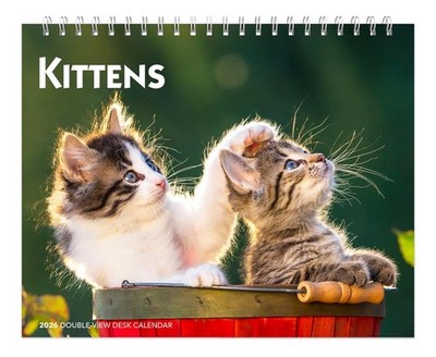 Kittens | 2026 7.5 x 6 Inch Monthly Double-View Easel Desk Calendar | BrownTrout