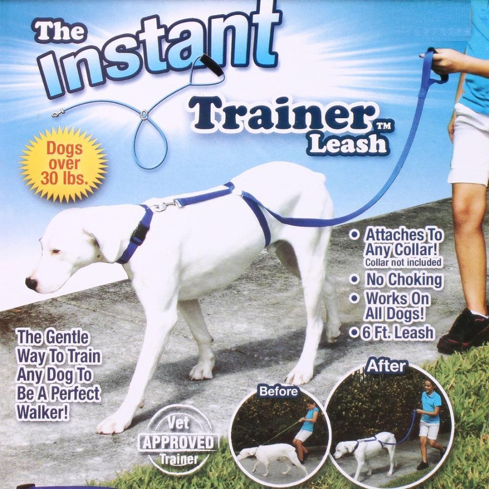 gentle trainer for dogs