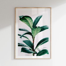 Green Botanical Tropical Leaf Posters Wall Art Prints Living Room Décor Pictures