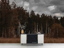 3D Forest Landscape Wallpaper Wall Mural Removable Self-adhesive Sticker8154