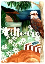 (1335)  28A-8-2025 - Australia - NSW - 2 p/c - Killcare & The Entrance
