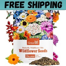 All Perennial Wildflower Seeds Bulk, 1/4 Lb, 100,000 Seeds, 26 Variety Mix