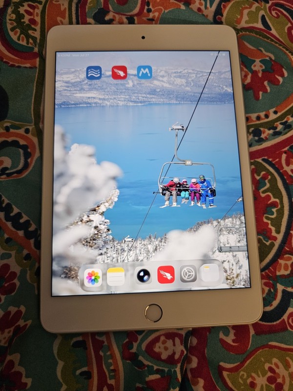 Apple iPad mini (5th Generation) A2133 64 GB, Wi-Fi Only, 7.9 in- Gray. !READ!