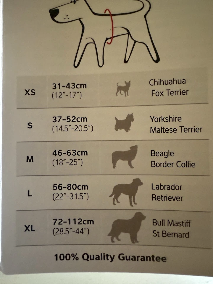 Красный Динго с подкладкой собаки ремень размер маленький новый с ярлыками - Изображение 3 из 3