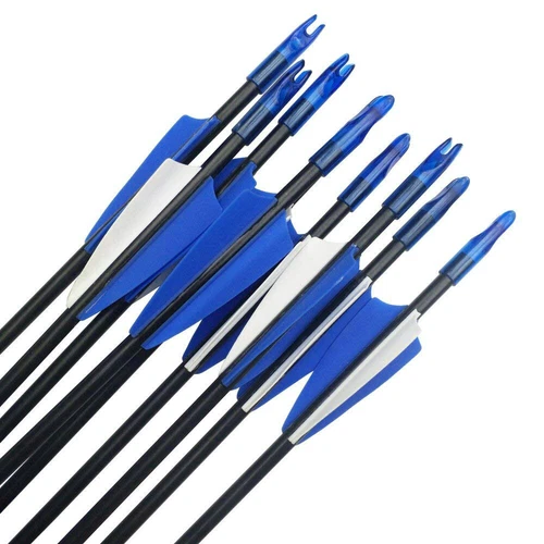 Flechas de fibra de vidrio 31" carcaj tiro con arco práctica puntos objetivo arco flecha de tiro - Imagen 3 de 23
