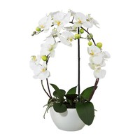 Kunstpflanze Phalaenopsis 'Real Touch', Weiß, HöHe Ca. 52 Cm