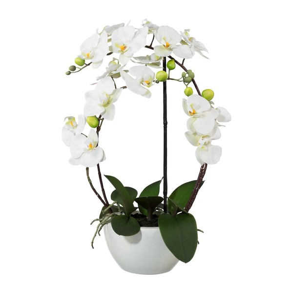 Kunstpflanze Phalaenopsis 'Real Touch', Weiß, HöHe Ca. 52 Cm-image