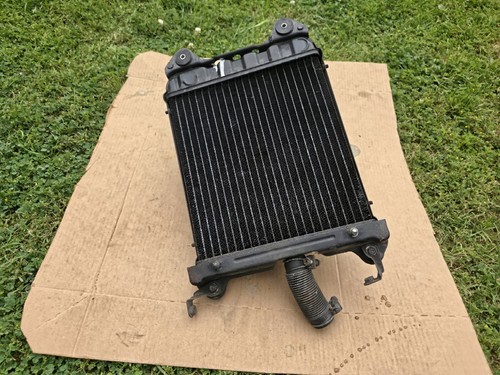 1983 Honda Gold Wing GL1100 OEM Radiator Cooling System Complete Original OEM