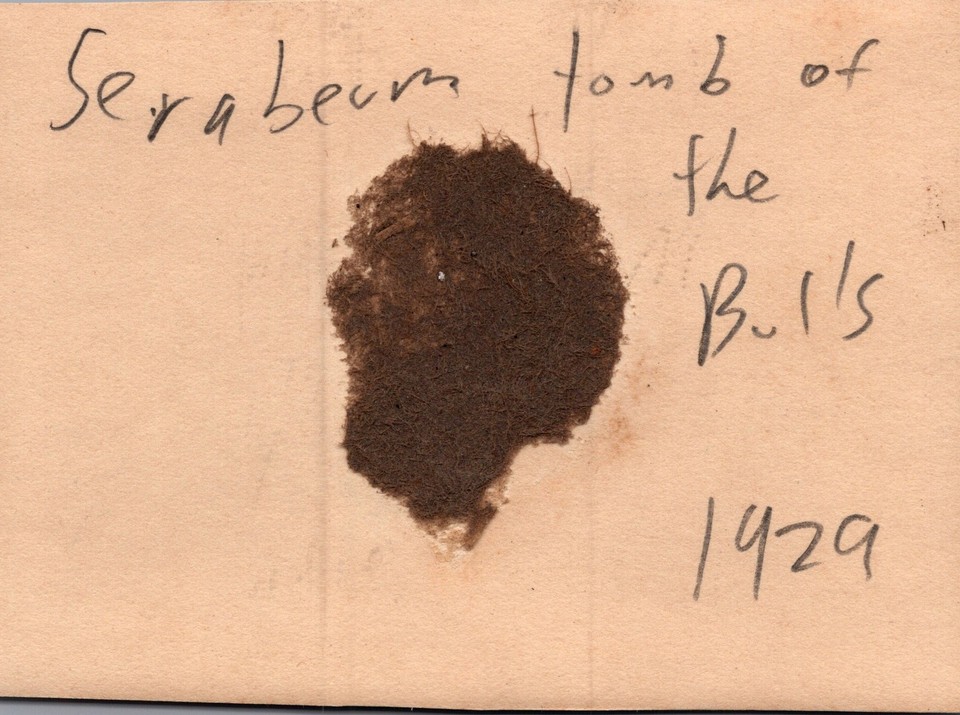 Serapeum Saqqara Egypt excavation trench desert 1929 - Original Photo ...