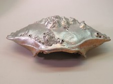 Real Air Dried Red Rock CRAB Shell Painted Gold & Silver ~ Crafts, Ornament +