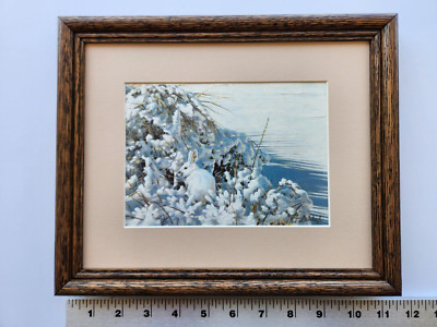 Guy Coheleach EDGE OF THE FROZEN LAKE-RABBIT 8x10 framed 4.0 517aa