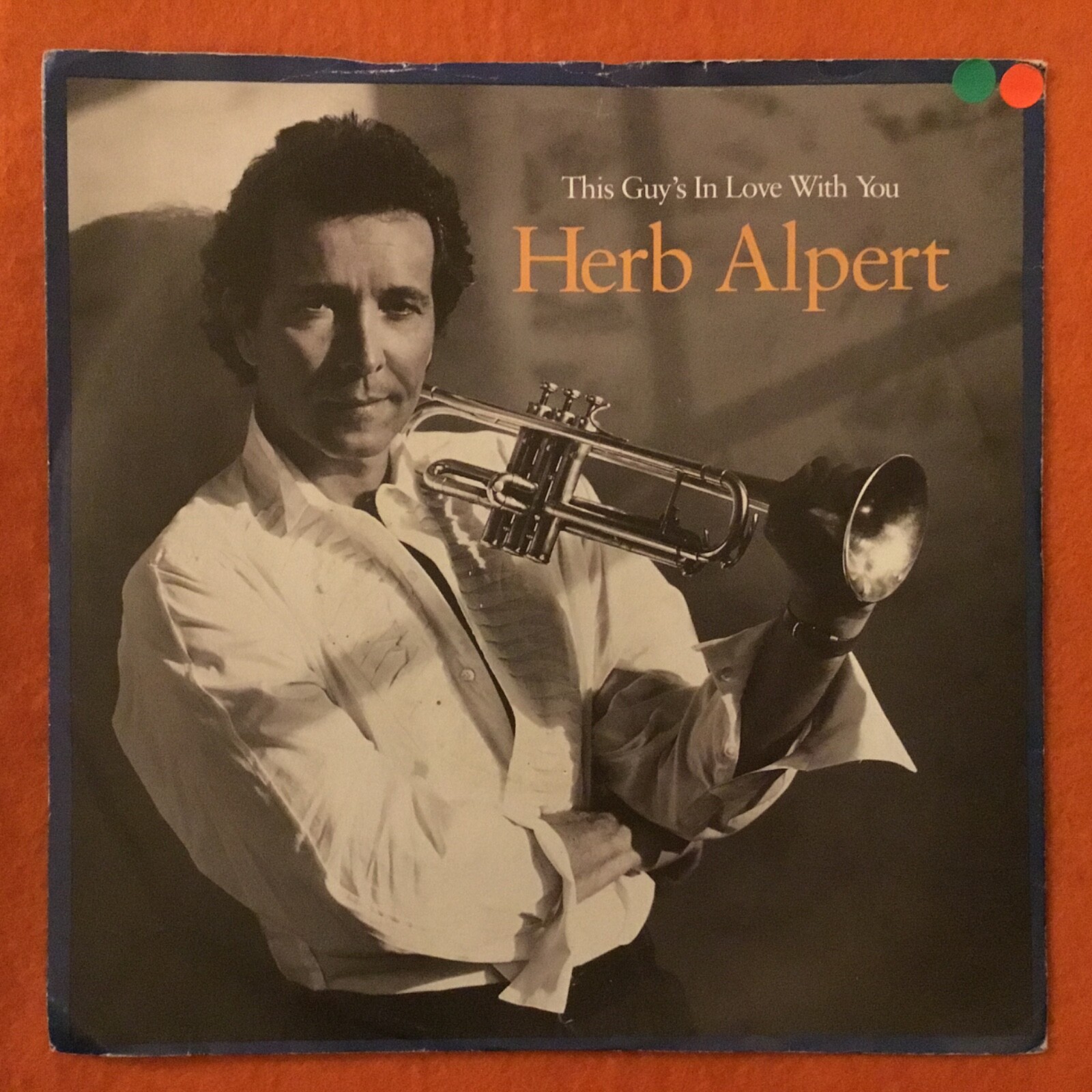 Herb Alpert This Guy’s In Love With You Rise A&M Records 7” eBay