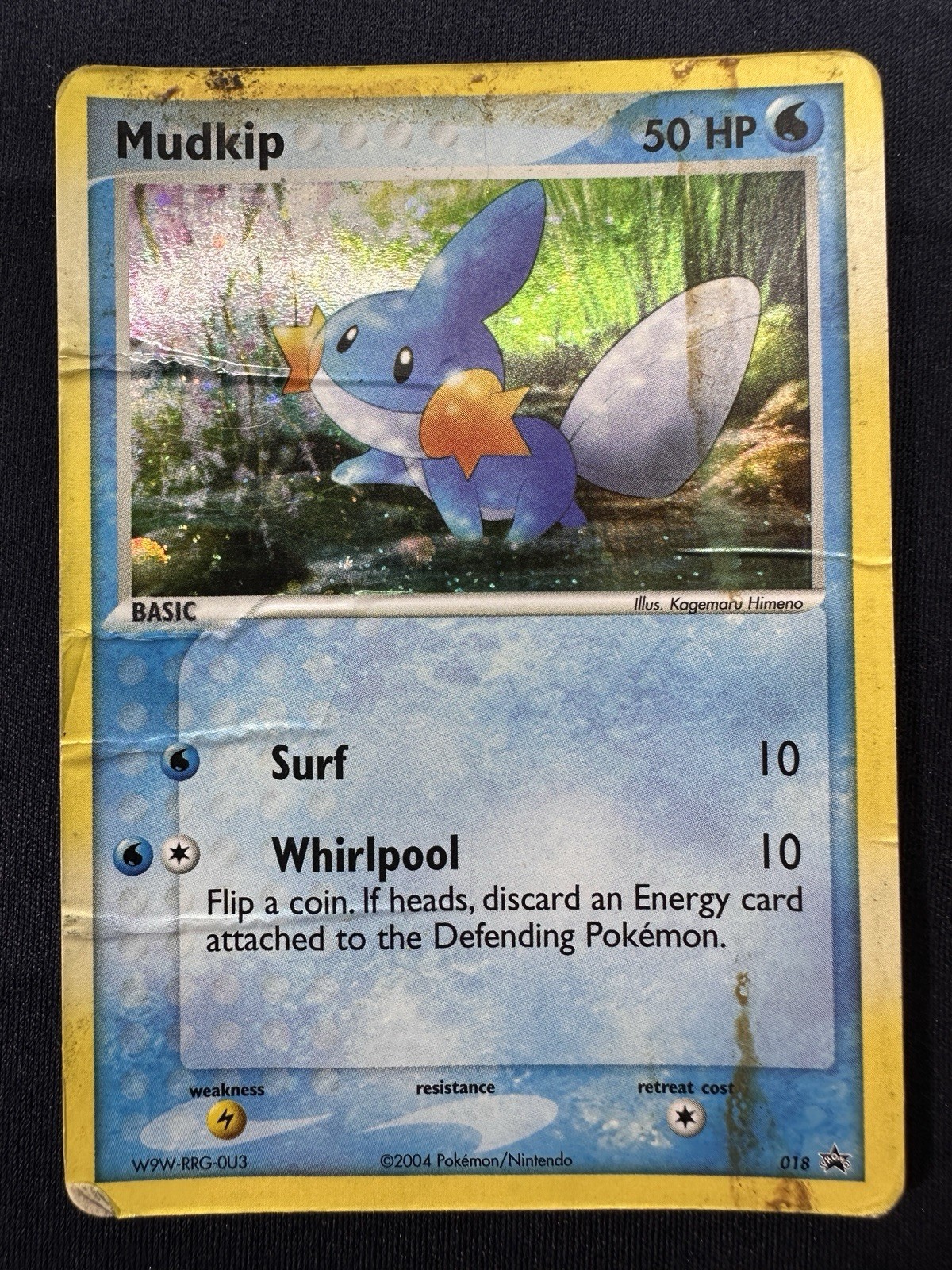 Pokemon 2004 Mudkip Holo 018 Black Star Promo DMG Free Shipping