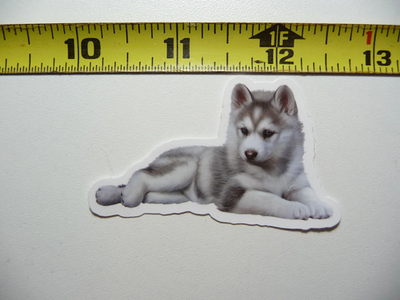 #ad SIBERIAN HUSKY PUPPY DOG SMALL STICKER DECAL WILDLIFE PRESERVE NATURE ANIMAL $2.94