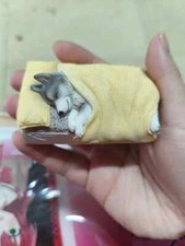 Modellino JXK Shiba Inu cane singolo 8.0 con gatto modellino regalo