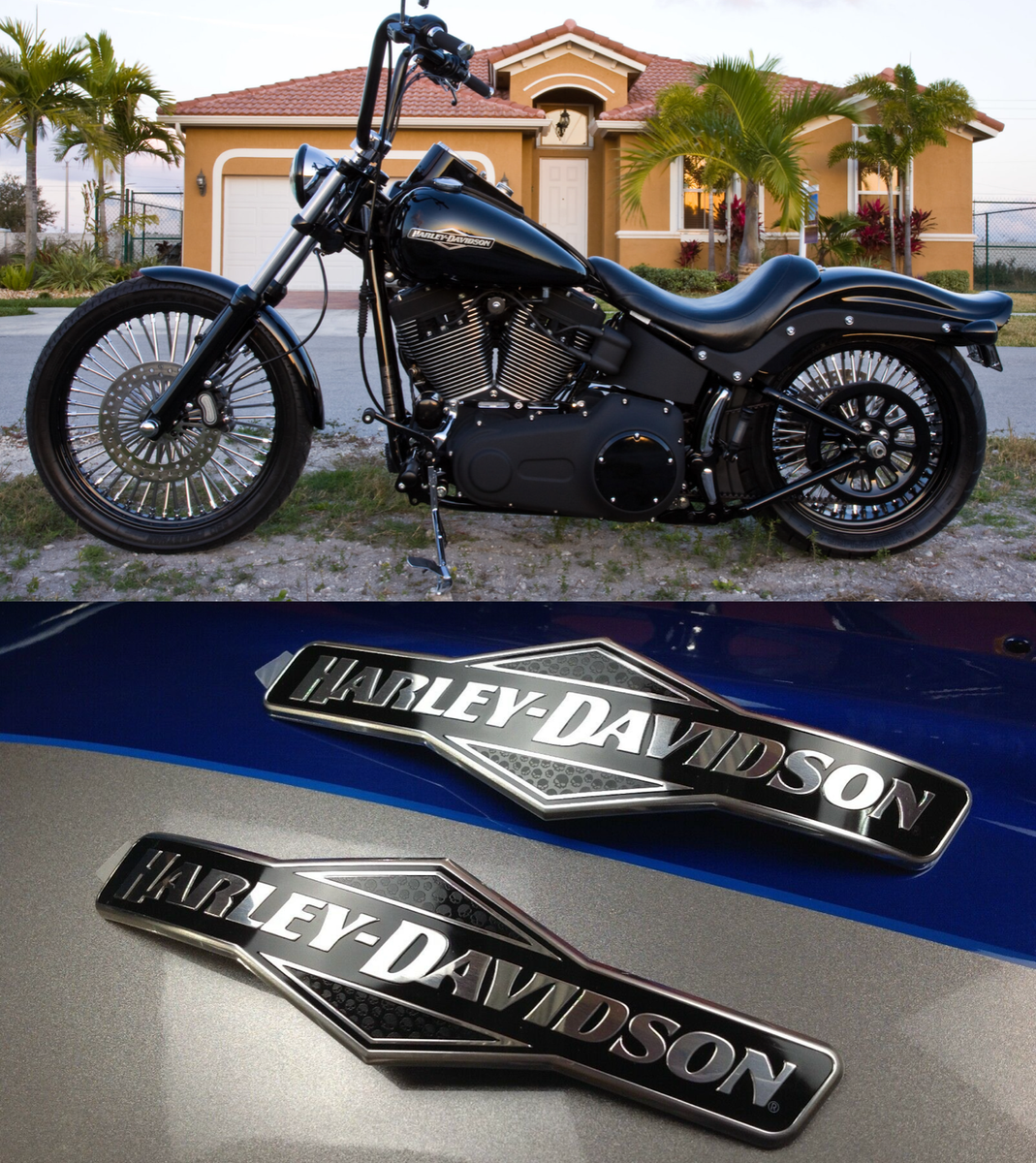 Genuine Harley Heritage Skull Willie G Fuel Gas Tank Set Emblems