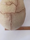 Foto 12 di 14