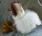 Bild 3 von 12