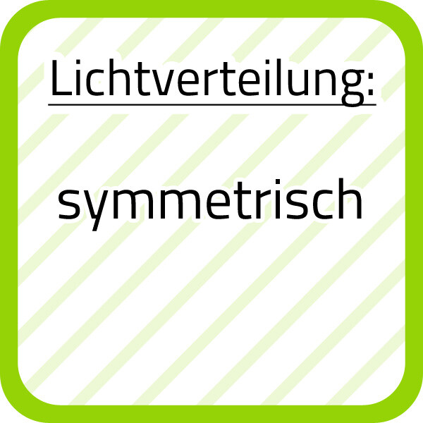Bild 5 von 12