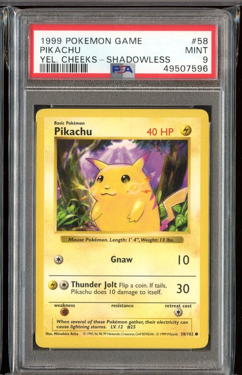 Pokémon TCG Professional Sports Authenticator (PSA) Individual