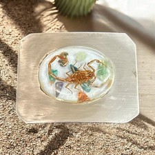 Men Women Real Scorpion Belt Buckle Western Cowboy Vintage Shipped From Arizona