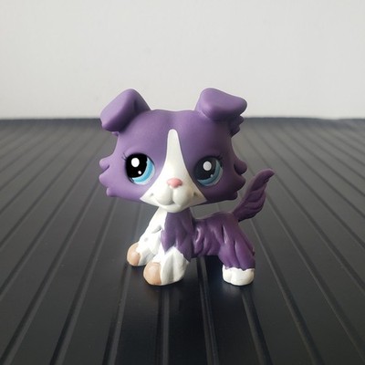 Littlest Pet Shop LPS Toy Collection #1676 Purple Collie Dog Blue