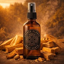 PALO SANTO Cleansing Spray 50ml | Organic Hydrosol Smudge Energy Cleansing Mist
