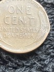 Foto 7 di 7