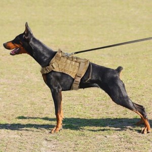 1000D-Nylon-Dog-Vest-Training-Dog-Harness-Military-Adjustable-Nylon-Vest-US